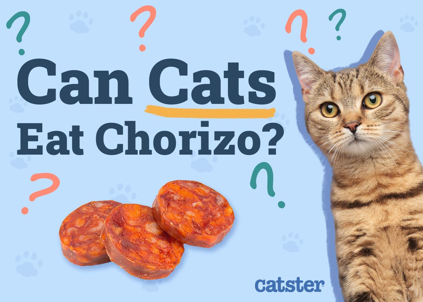 Can Cats Eat Chorizo