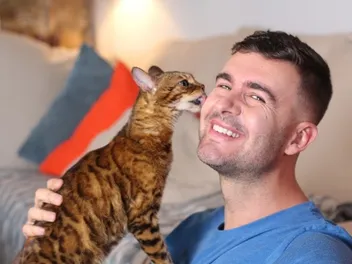 Why Do Cats Lick You? 6 Vet-Approved Possible Reasons