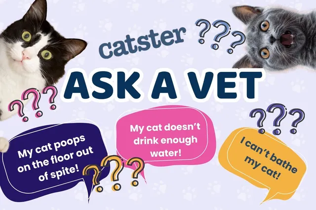 Ask Dr. Paola – Help! My Cat Poops On The Floor Out of Spite! (February 16, 2026)