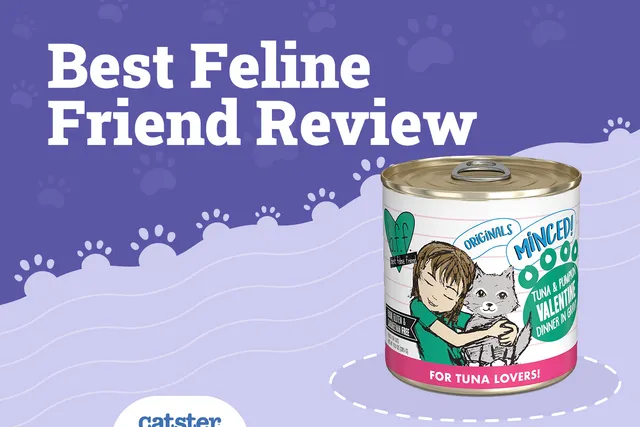 BFF (Best Feline Friend) Cat Food Review in 2026: Recalls, Pros & Cons