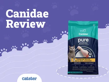 Canidae Cat Food Review of 2026: Recalls, Pros & Cons