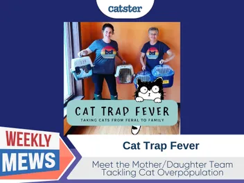 Cat Trap Fever - Meet the Mother/Daughter Team Tackling Cat Overpopulation (with Video)