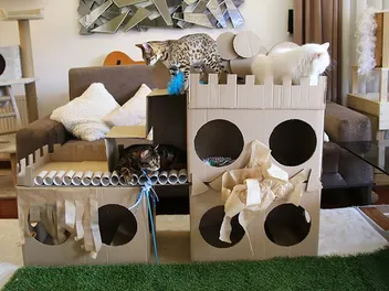 13 DIY Cat Fort Plans You Can Make Today (With Pictures)