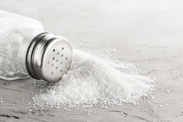Is Salt Toxic to Cats? Vet-Reviewed Dangers & Limits