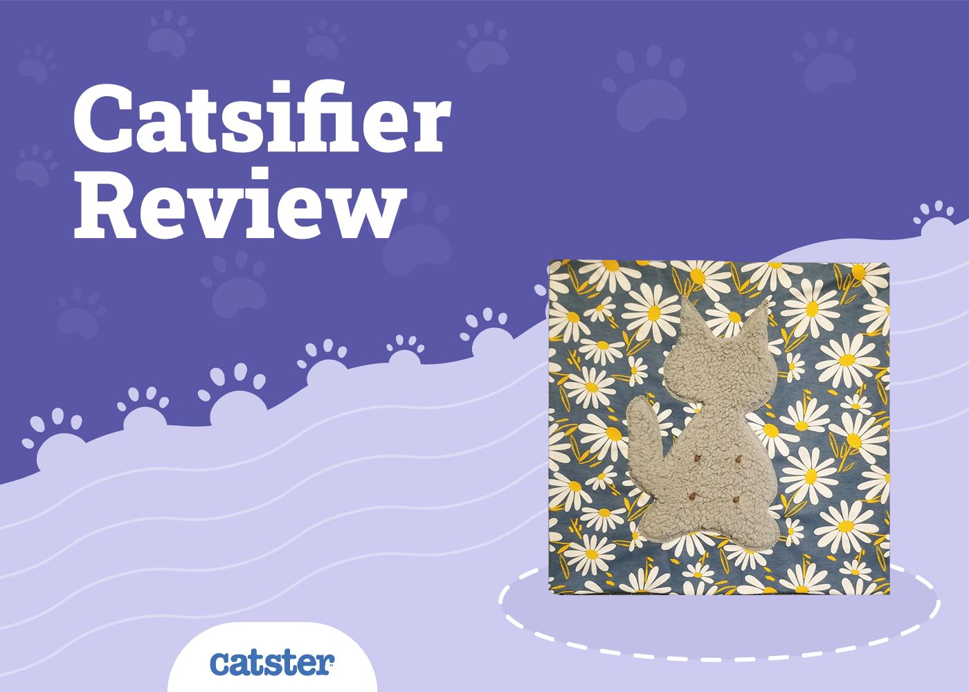 Catsifier Review