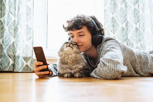 How to Make Your Cat Instagram Famous in 2026