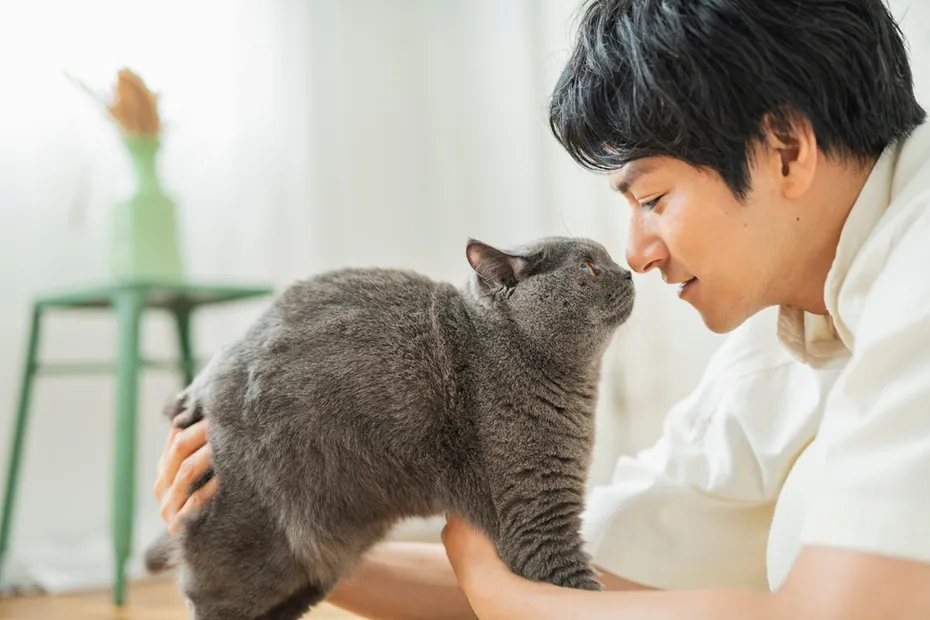 Man and cat face-to-face indoors