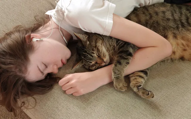 Do Cats Like Being Squished? Our Vet Answers & Explains Feline Behavior