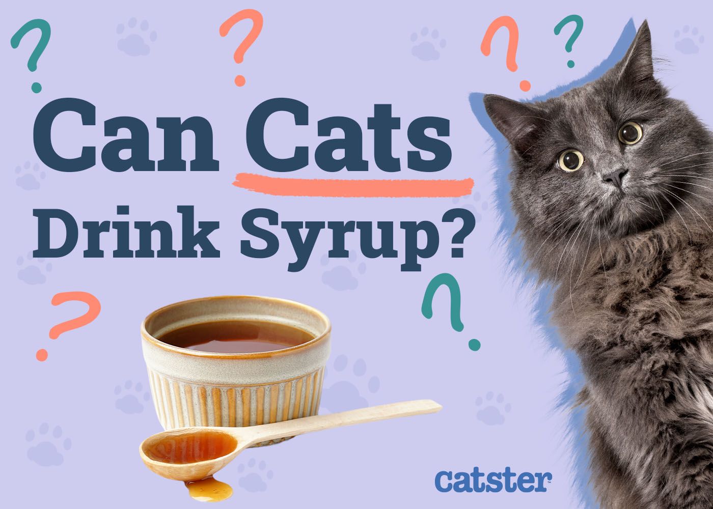 Can Cats Drink Syrup
