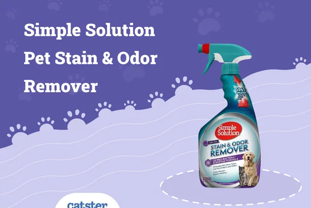 Simple Solution Pet Stain & Odor Remover Review 2026 - Pros, Cons, & Verdict