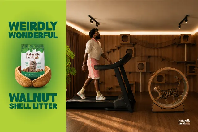 The Weirdly Wonderful Cat Litter Every Cat Parent Should Know About