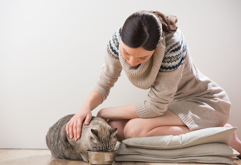 woman petting her cat while eating