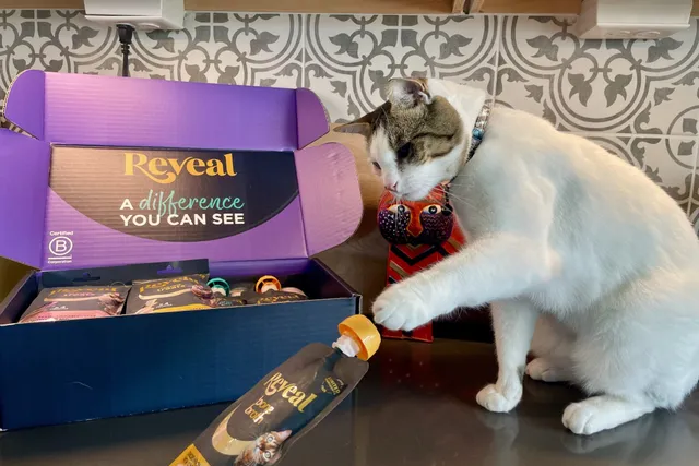 Reveal Wet Cat Food & Treats Review 2026: Our Expert’s Opinion
