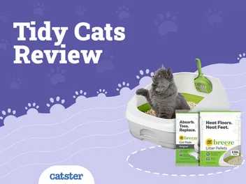 Tidy Cats Breeze Cat Litter System Review: Recalls, Pros & Cons