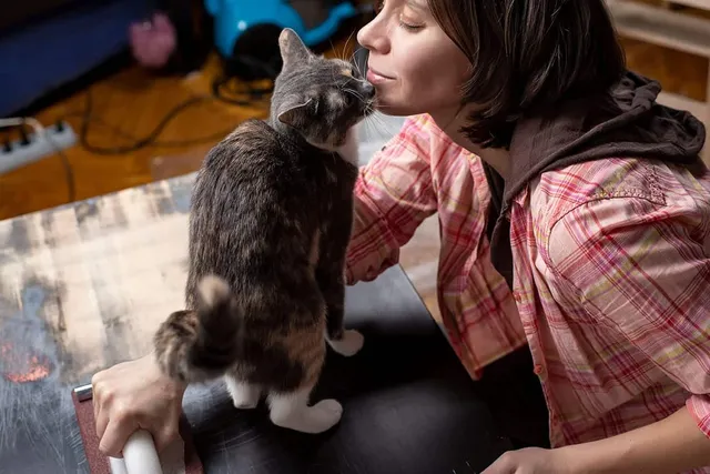 Why Is My Cat Sniffing My Face? 6 Vet-Reviewed Reasons