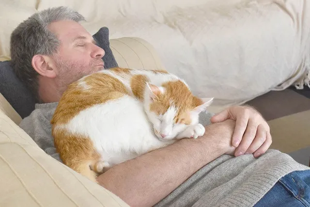 Why Does My Cat Sleep on Me? 6 Vet-Reviewed Reasons & Solutions