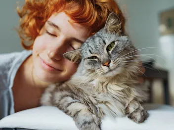 Can You Catch a Cold From a Cat? Vet-Verified Facts & Info