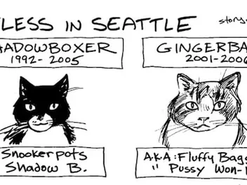 We Talk With Cartoonist Roberta Gregory, Who Turns Real-Life Cat Stories into Comics