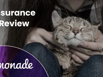 Lemonade Pet Insurance Review 2026: A Detailed Look