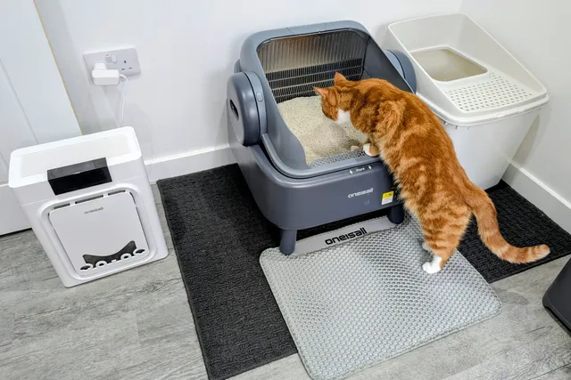 Level Up with the Self-Cleaning Litter Box From Oneisall – Our Expert’s 2026 Review