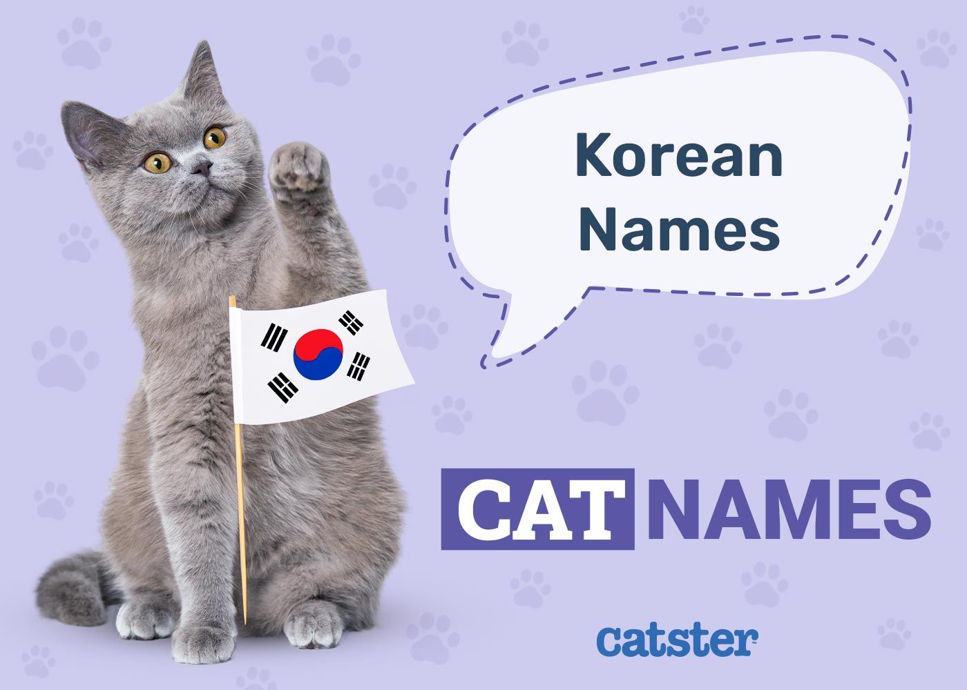 Korean Cat Names