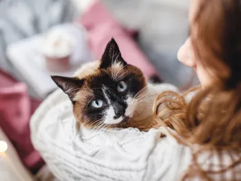 Do Cats Like When You Sing to Them? Fun Facts