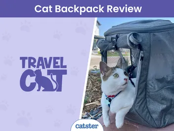 Travel Cat "The Navigator" Convertible Cat Backpack Review 2026: A Detailed Look