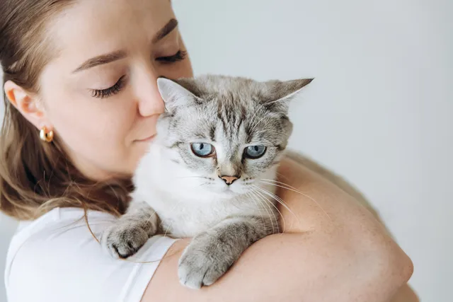 10 Best Cat Colognes in 2026 – Reviews & Top Picks