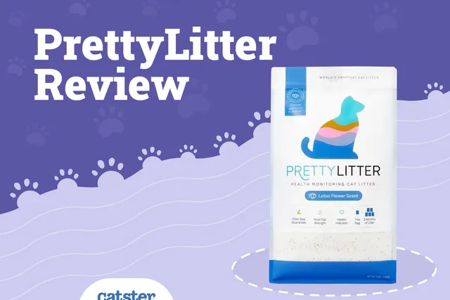 PrettyLitter Cat Litter Review of 2026: Vet-Reviewed Characteristics, Pros & Cons