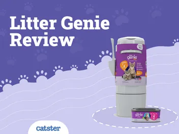 Litter Genie Cat Litter Disposal System Review 2026: A Detailed Look