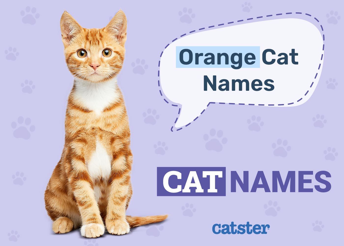 Orange Cat Names