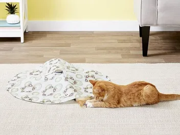 10 Best Electronic Cat Toys in 2026 - Reviews & Top Picks