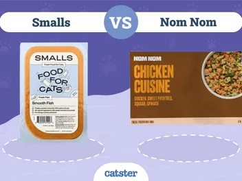 Smalls vs Nom Nom: Pros, Cons & Facts (2026 Update)