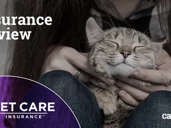 Pet Care Insurance Review 2026: Pros, Cons & Verdict