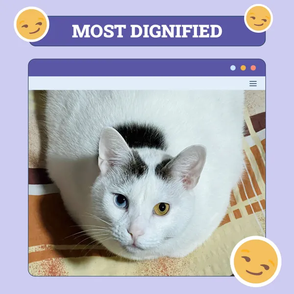 Haski_most_dignified