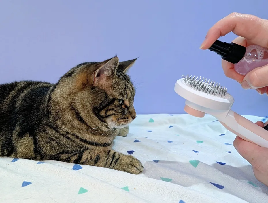Spray onto a brush
