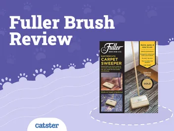 Fuller Brush Electrostatic Carpet Sweeper (2026 Review)