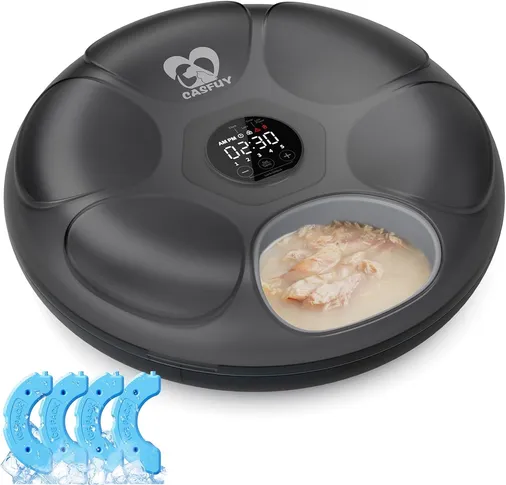 Casfuy Automatic Cat Feeder
