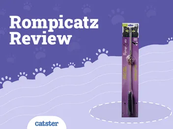 Rompicatz Adjustable String Wand Toy Review 2026: Pros, Cons & Verdict