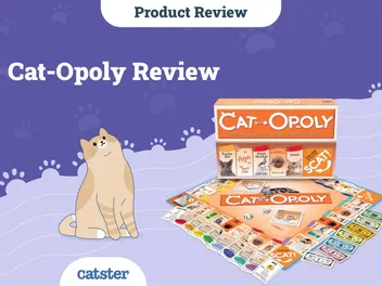 Cat-Opoly Review: The Cat Monopoly Game (2026 Review)