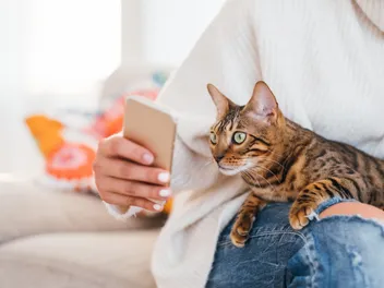 6 Best Online Vet Services in 2026 - Reviews & Top Picks