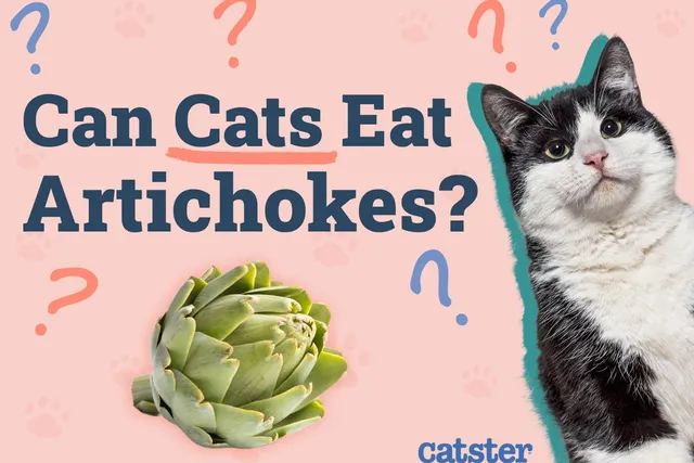 Can Cats Eat Artichokes? Vet Reviewed Facts & Safety Guide