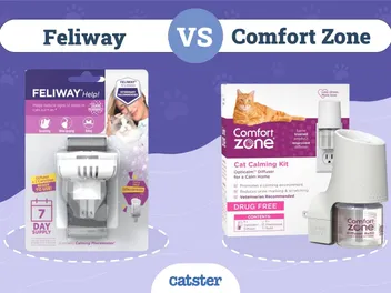 Feliway vs Comfort Zone: Which Pheromone Is Better?