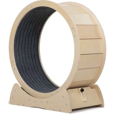 Coziwow Exercise Wheel with Lock &amp; Teaser Cat Treadmill