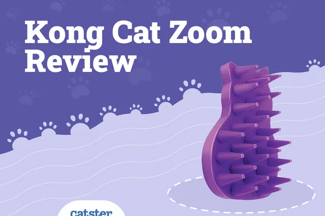 Kong Cat Zoom Groom Review 2026: Pros, Cons & Verdict