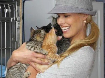 We Chat With Beth Stern About Her Life as a Foster Cat Mom