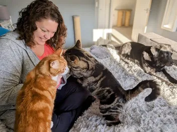 How My Cats Help Me To Switch Off and Focus on The Now