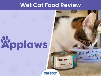 Applaws Limited Ingredient Wet Cat Food Review 2026: How I Supplemented My Cats Diet