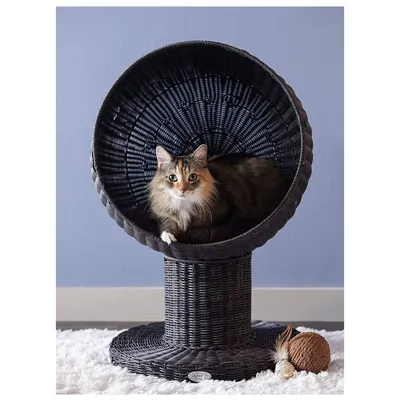 Refined Feline Kitty Ball Cat Bed