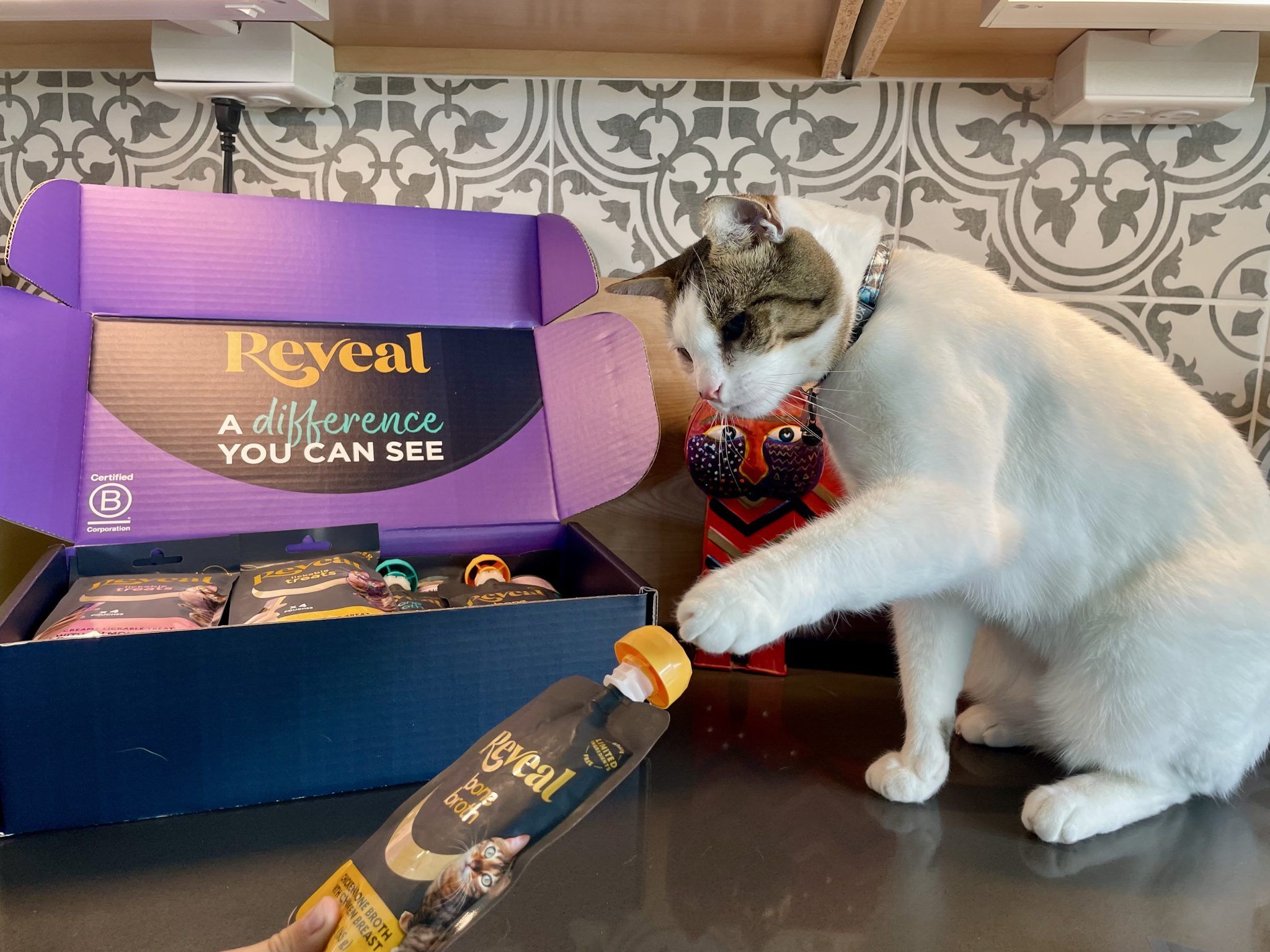 Reveal-Wet-Cat-Food-Treats-Review_-Our-Experts-Opinion33